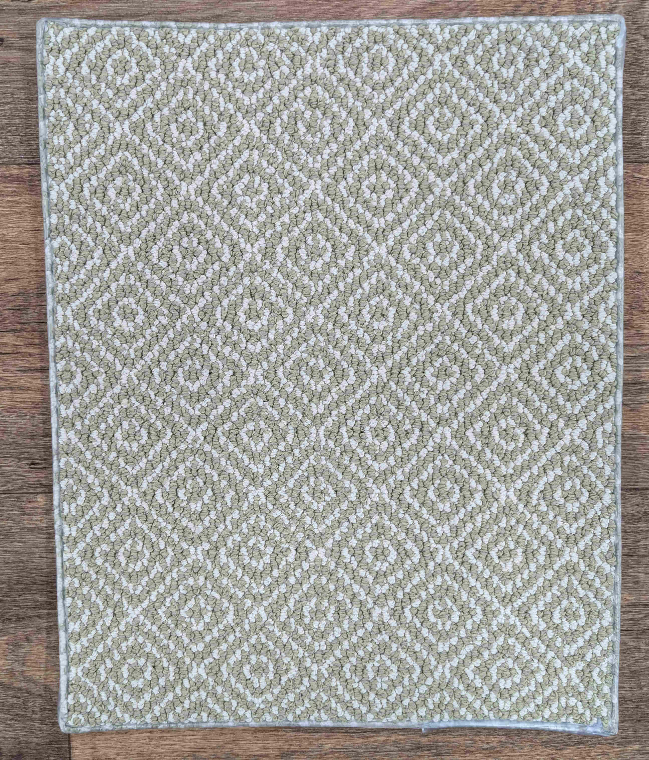 Rug Depot Home Stair Runners Stroll Trellis ZZ050-313 Spring Mist Stair Treads-Area Rugs and Stair Runners