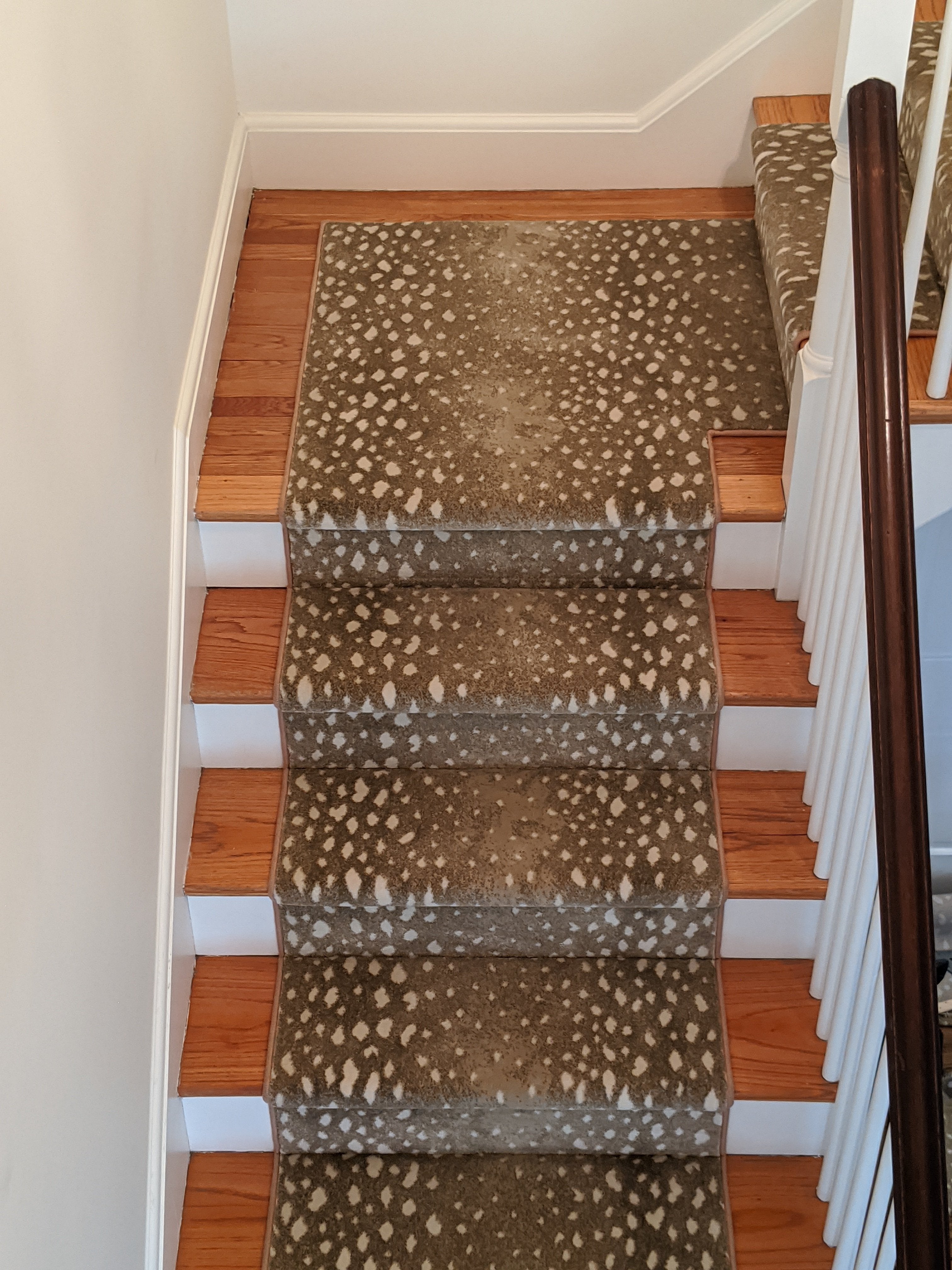 Deerfield 73 Sand Animal Print By Prestige-Custom Carpet Install