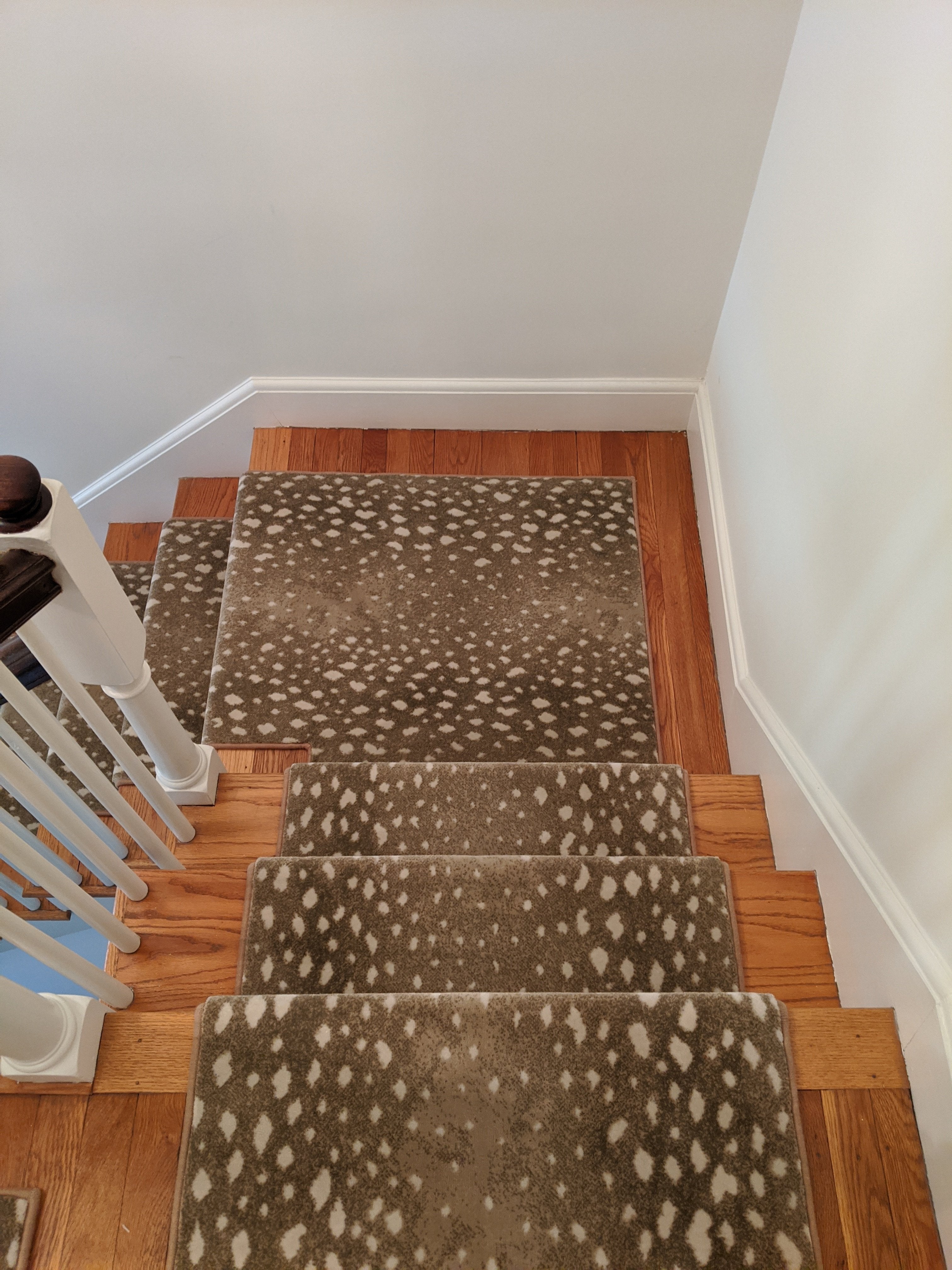 Deerfield 73 Sand Animal Print By Prestige-Custom Carpet Install